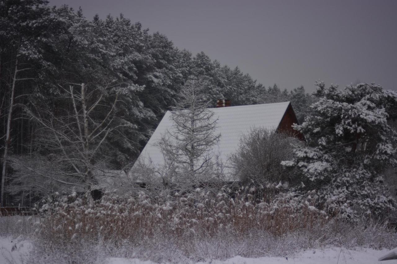 Sowa I Kumple Drezdenko Exterior foto